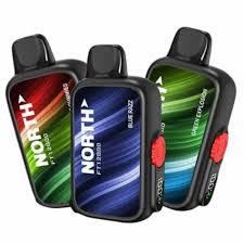 North – FT12000 | 12000 Puffs