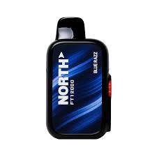 North – FT12000 | 12000 Puffs - 0